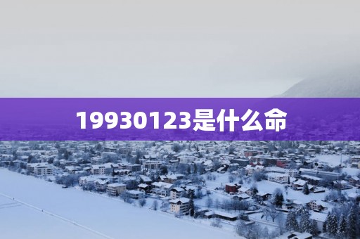 19930123是什么命
