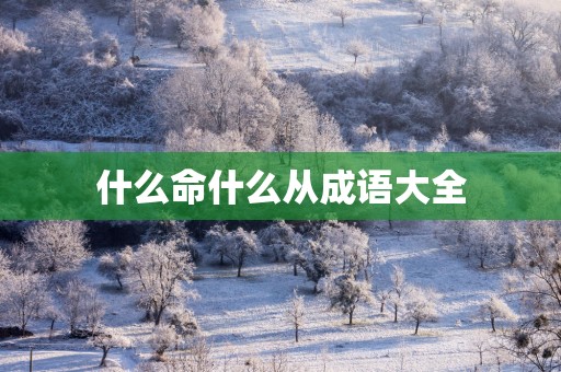 什么命什么从成语大全