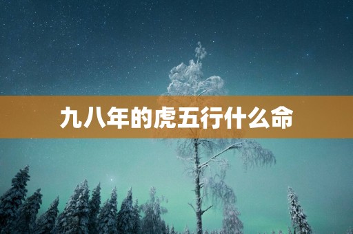 九八年的虎五行什么命