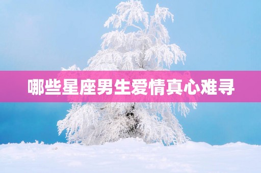 哪些星座男生爱情真心难寻