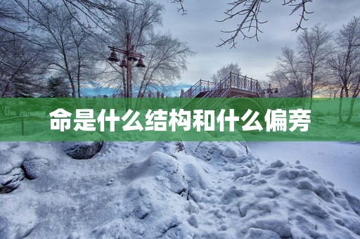 命是什么结构和什么偏旁