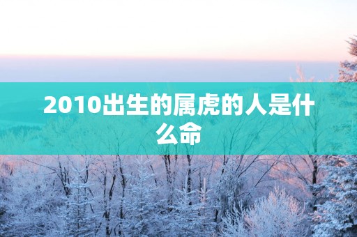 2010出生的属虎的人是什么命