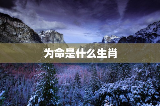 为命是什么生肖