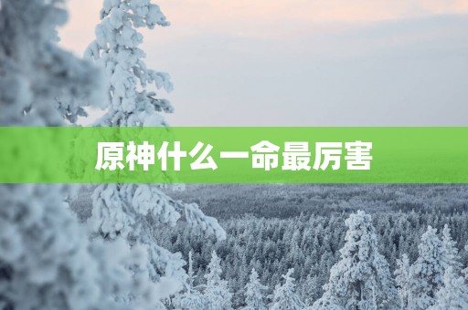 原神什么一命最厉害