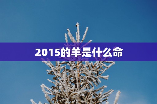 2015的羊是什么命