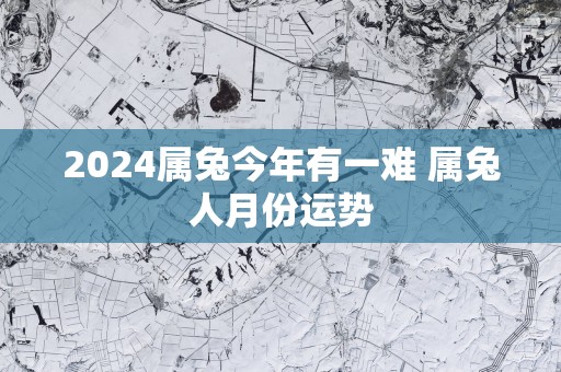 2025属兔今年有一难 属兔人月份运势
