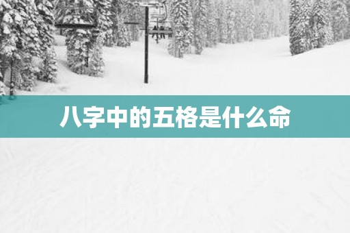 八字中的五格是什么命