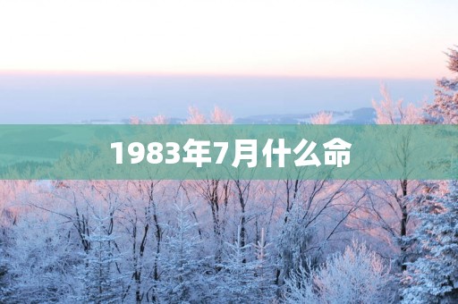 1983年7月什么命