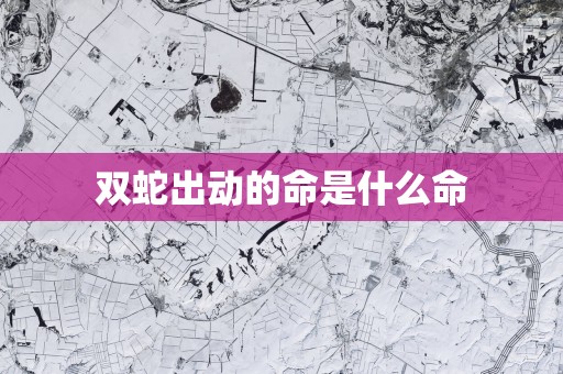双蛇出动的命是什么命