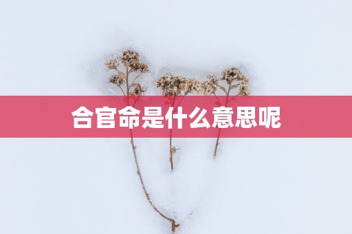 合官命是什么意思呢