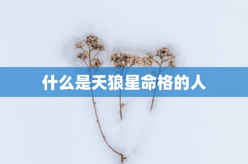 什么是天狼星命格的人