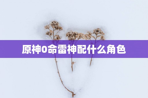 原神0命雷神配什么角色