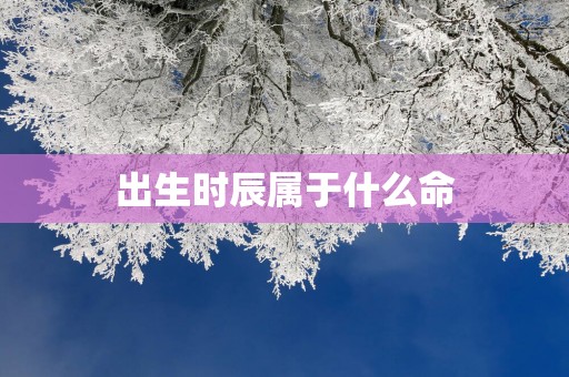 出生时辰属于什么命