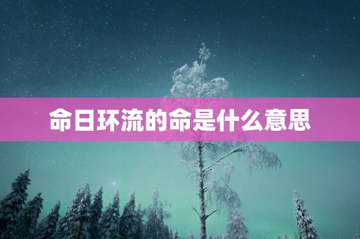 命日环流的命是什么意思