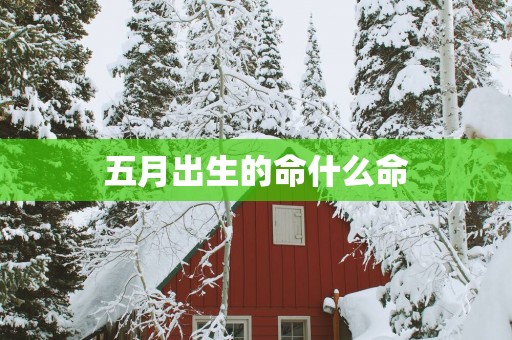 五月出生的命什么命
