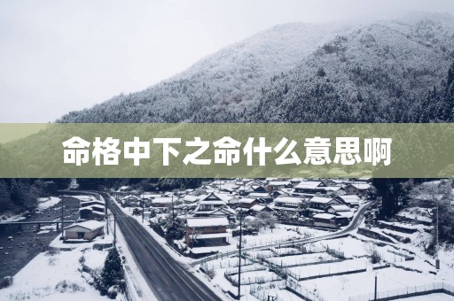 命格中下之命什么意思啊