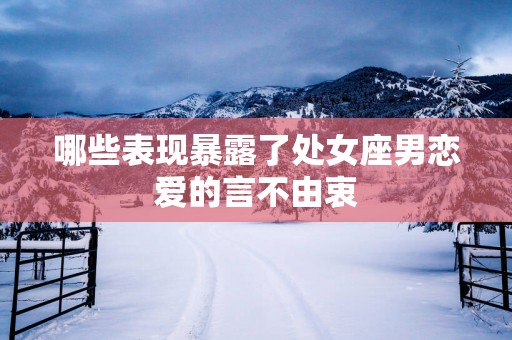 哪些表现暴露了处女座男恋爱的言不由衷