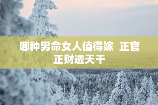 哪种男命女人值得嫁  正官正财透天干