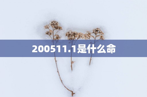 200511.1是什么命