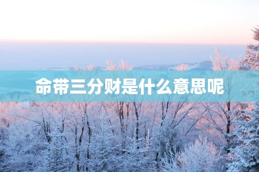 命带三分财是什么意思呢