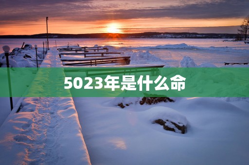 5023年是什么命