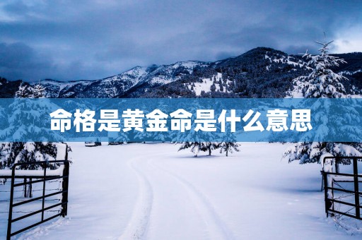 命格是黄金命是什么意思