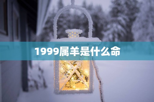 1999属羊是什么命