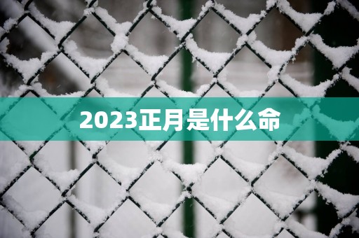2025正月是什么命