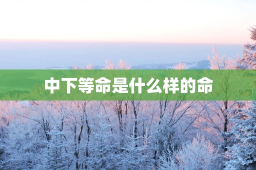 中下等命是什么样的命