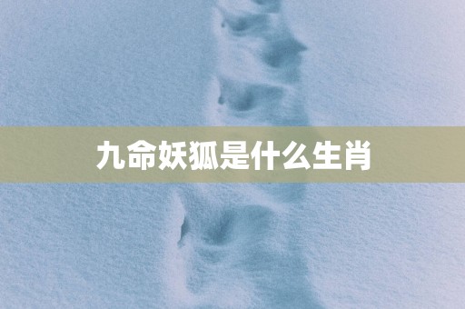 九命妖狐是什么生肖