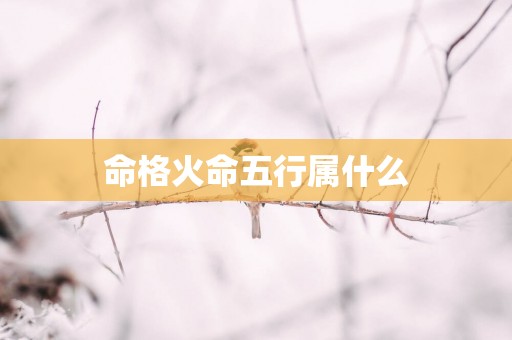 命格火命五行属什么