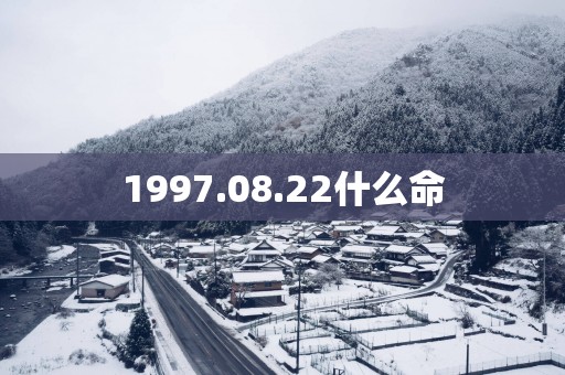 1997.08.22什么命