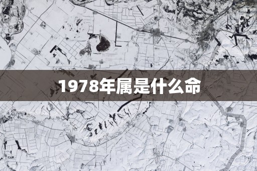 1978年属是什么命