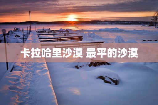 卡拉哈里沙漠 最平的沙漠