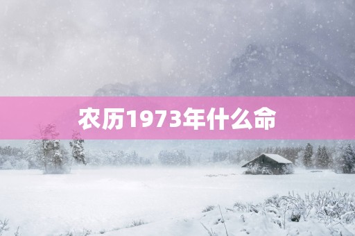 农历1973年什么命