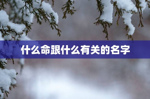 什么命跟什么有关的名字