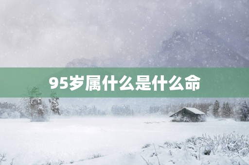 95岁属什么是什么命