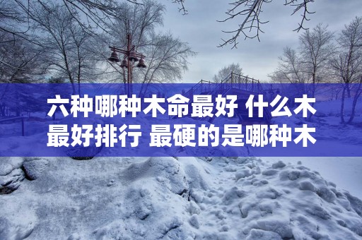 六种哪种木命最好 什么木最好排行 最硬的是哪种木