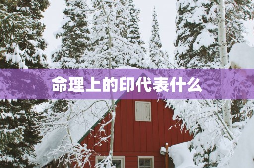 命理上的印代表什么