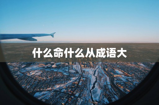 什么命什么从成语大