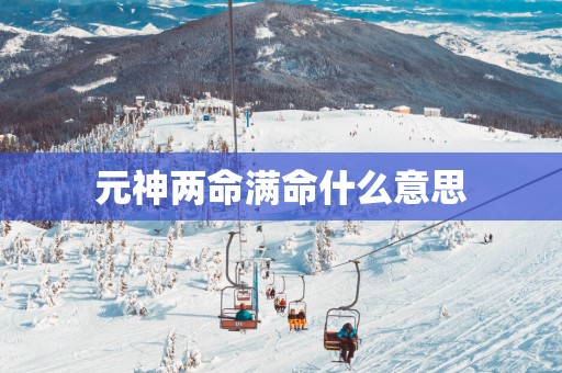 元神两命满命什么意思