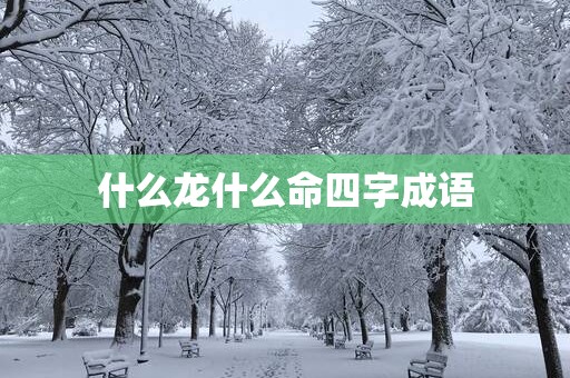 什么龙什么命四字成语