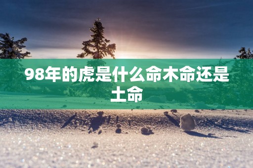 98年的虎是什么命木命还是土命