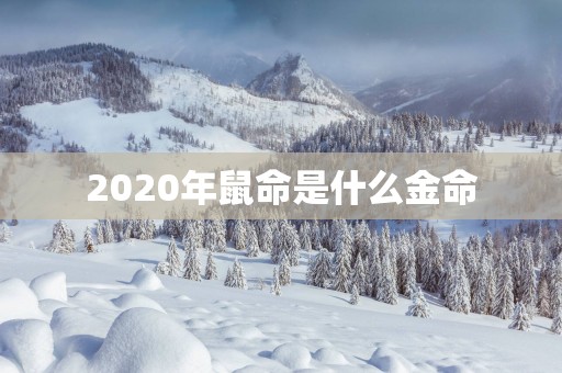2025年鼠命是什么金命