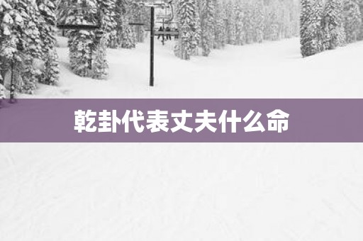 乾卦代表丈夫什么命