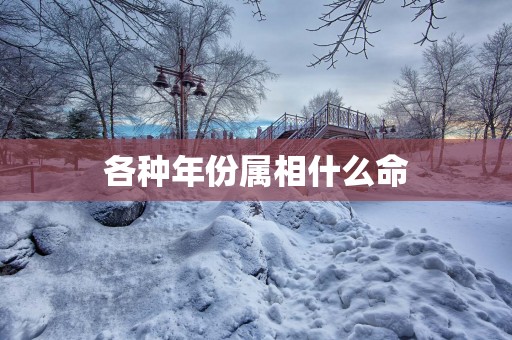 各种年份属相什么命