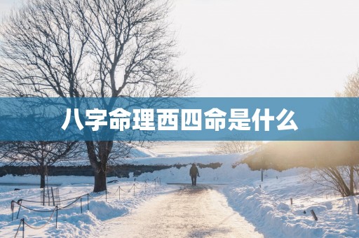 八字命理西四命是什么