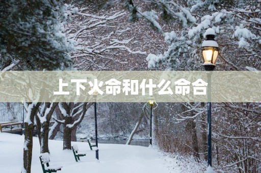 上下火命和什么命合