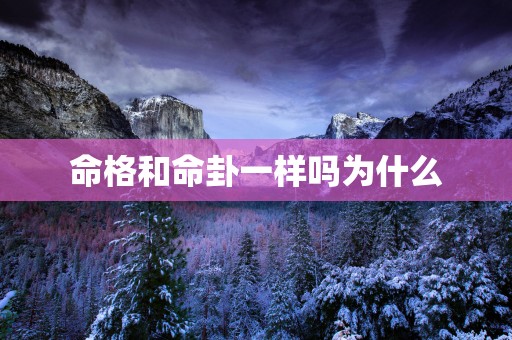 命格和命卦一样吗为什么
