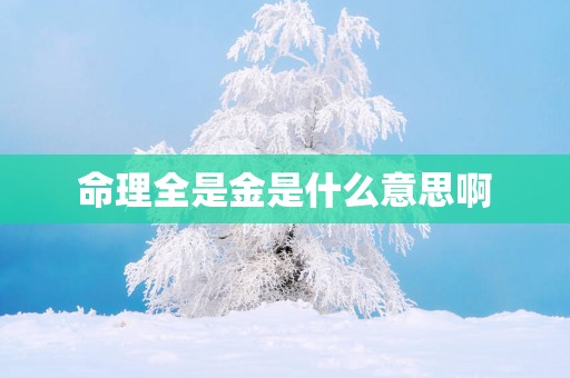 命理全是金是什么意思啊